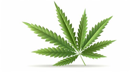 Vibrant Cannabis Leaf, Green Foliage Against a Clean White Background - obrazy, fototapety, plakaty