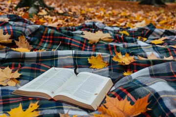 autumn leaves on a book