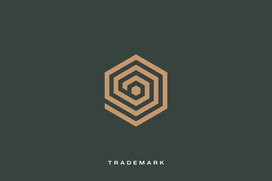 Hexagon digital multimedia production vector logo