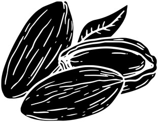 almond illustration food silhouette nut logo healthy icon organic outline vegetarian natural nature kernel leaf raw group macro seed shape of nature kernel for vector graphic background