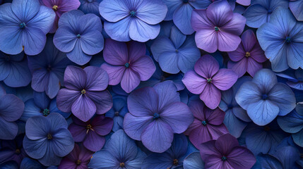 Background violet blue beautiful bright purple