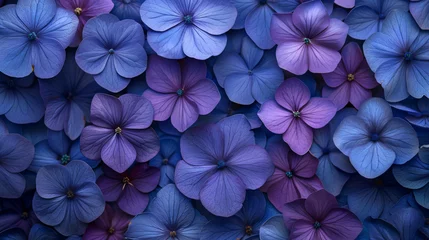 Gordijnen Background violet blue beautiful bright purple © fisher