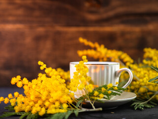 Ceramic white cup of coffee or tea on a wooden table. Blooming yellow mimosa. Copy space
