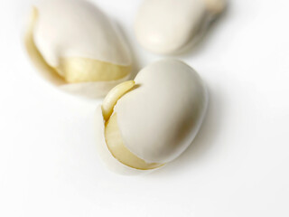 close up sprouted beans on a white background