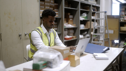 Black worker is checking the goods in the warehouse. - 746029074