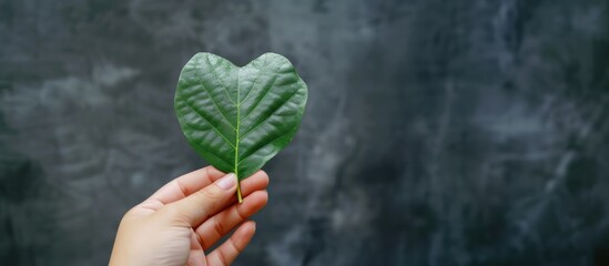 Generative AI, green heart shape plant leaf in the hand, renewable and sustainable resources concept, love planet