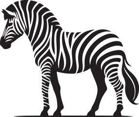 Fototapeta na wymiar Zebra vector illustration