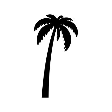 Palm tree icon. Black silhouette. Front side view. Vector simple flat graphic illustration. Isolated object on a white background. Isolate.