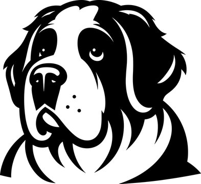 Saint Bernard Dog
