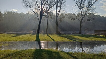 morning on the river