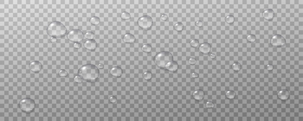 Realistic vector water drops png on a transparent light background. Water condensation on the surface with light reflection and realistic shadow. 3d vector illustration