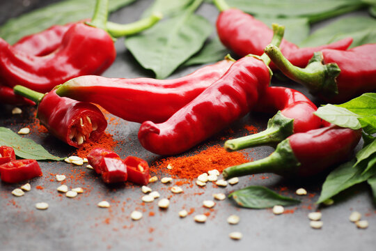 Fresh red chilli pepper spice with leaves of a plant on dark black background, closeup, indian or mexican food ingredients, asian cuisine concept