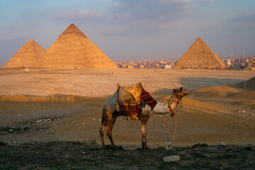 Pyramids of Giza, pyramid complex consist of three pyramids, Menkaure, Khafre or Chephren, and the...