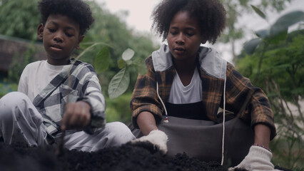 African boy farmer doing organic farming