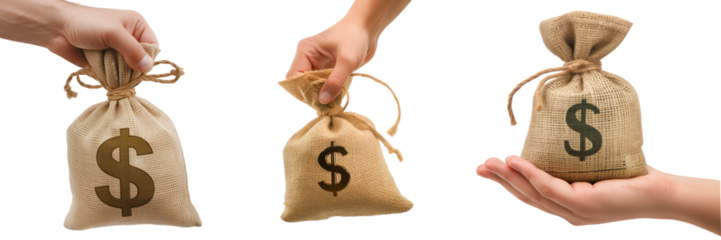 Set of cloth money bags in hands, side view, isolated on white or transparent background. Close-up of hand holding money bag, with a dollar sign. Financial concept. Design element