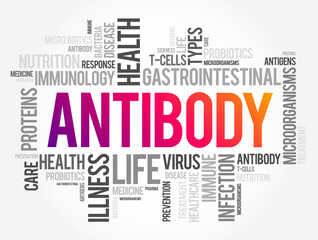 Antibody - is a large Y-shaped protein used by the immune system to identify and neutralize foreign objects such as pathogenic bacteria and viruses, word cloud concept background