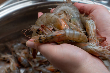 Large raw shrimp in women's hands