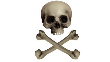 skull and crossbones