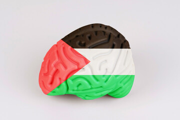 On a white background, a model of the brain with a picture of a flag - Palestine