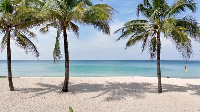 palm trees on the beach tropical island. Travel summer nature holiday vacation concept. Beach copy space no people. 