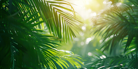 Green tropical vegetation jungle with palm leaves