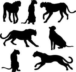 Cheetah silhouette set vector illustration