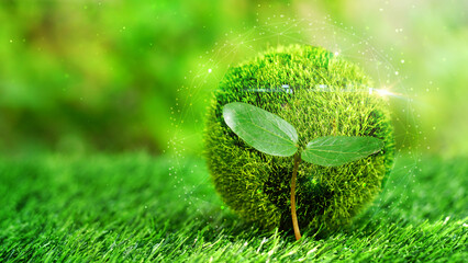 Growing tree inside of green globe on grass field in natural background.Conservation concept, Safe...