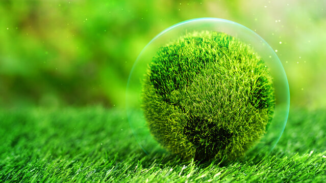 Green globe inside of bubble on grass field in natural background. Conservation concept, Safe world, saving the earth planet, ecological friendly and World Environment Day.Reforestation. Abor day.