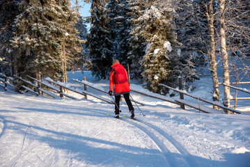 Fototapeta na wymiar Woman cross country skiing in Lapland Finland