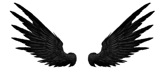 Obraz premium Symmetrical Black Bird Wings Isolated on White