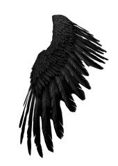 Single Black Bird Wing Isolated on White