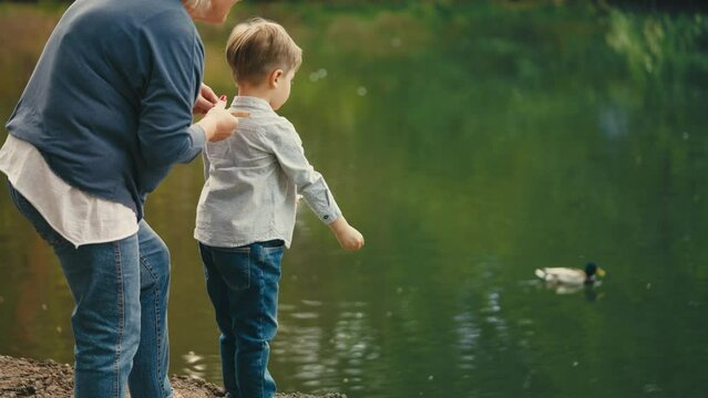 Grandmother and little boy feed ducks that float in park lake, happy childhood