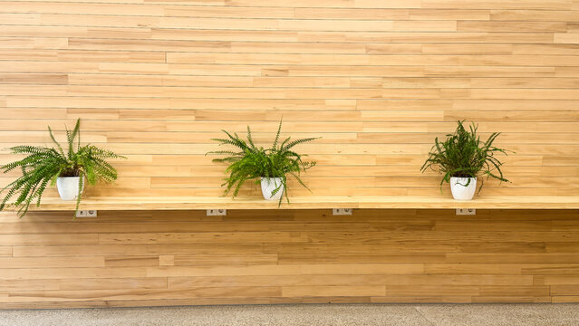 Wandvert&auml;felung