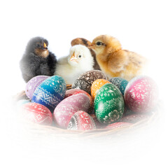 group of chickens with easter eggs on white
- 746055218