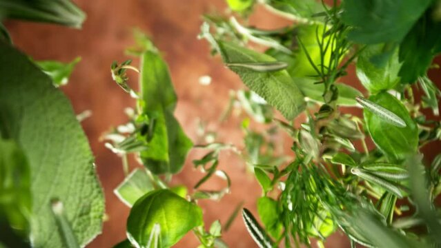 Super Slow Motion of Flying Mix of Fresh Herbs. Filmed on High Speed Cinema Camera, 1000 fps. Camera Placed on High Speed Cine Bot, Rotating.