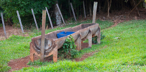 Animals eater in farm