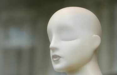 Close-up of Mannequin