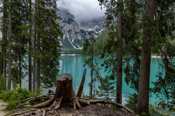 The Pragser Wildsee, Lake Braies in the Prags Dolomites in South Tyrol, Italy