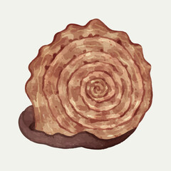 Seashells Ocean Beach, Scotch Bonnet Clipart illustration