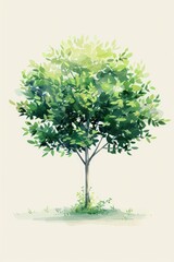 Watercolor illustration of a green tree with a white background.