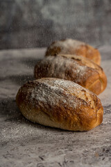 homemade sourdough bread made gray background