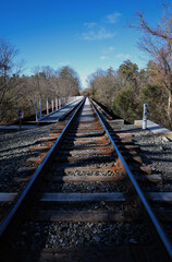 railway in the forest