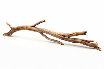 Obraz premium Driftwood Stick Isolated, Sea Wood Branch, Drift Wood