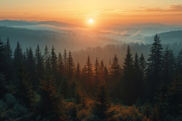 Beautiful sunrise breaking the horizon line over a misty forest, with a soft atmospheric mist lingering in the valleys
