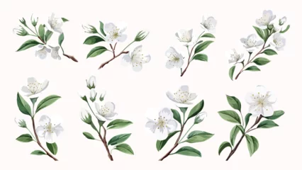 Fototapete Rund Set of Watercolor white almond blossoms blooming elements. White almond green leaves branch, and stem isolated on darkbackground. Suitable for decorative invitations, posters, or cards © Chelebi