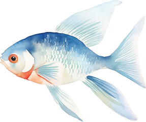 Fish Watercolor Isolated - 746072853