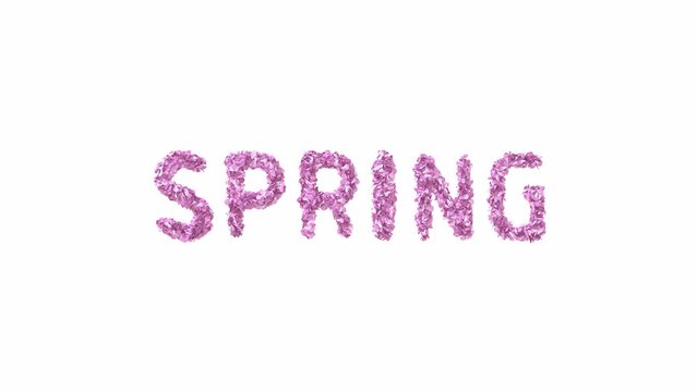 Animated Sakura Petals text letters forming the word spring