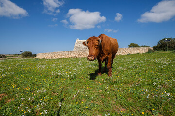 Naveta des Tudons, prototalayotic, Ciutadella, Menorca, Balearic Islands, Spain