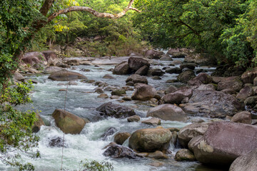 Bushwalking along the Mossman River in Mossman Gorge, Daintree National Park, Queensland, Australia