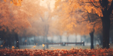 Autumn weather in the park Autumn atmosphere Background wallpaper

 - obrazy, fototapety, plakaty